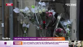 Meurtre fillette Vosges : une défaillance judiciaire ? 