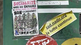 "Que résonnent les chants de nos bâtons": tel est le nom de la mobilisation que souhaite lancer les opposants au projet d'aéroport de Notre-Dame-des-Landes