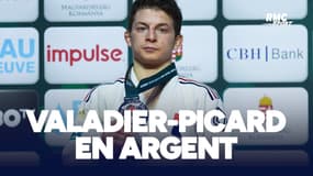 Mondiaux de Judo (-60kg) : Valadier-Picard en Argent entre joie et déception