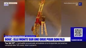 Bouc-Bel-Air: une mère monte sur une grue pour son fils autiste