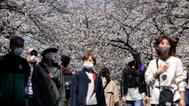Des promeneurs viennent admirer les cerisiers en fleurs, le 26 mars 2021 à Tokyo