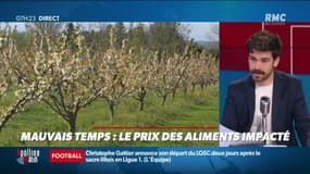 Dupin Quotidien : Le prix des aliments impacté par le mauvais temps - 26/05