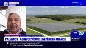 Calvados: une exploitation agricole qui participe au développement de l'agrivoltaïsme