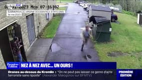 Le choix de Marie - Comment réagir si on tombe nez à nez avec un ours?