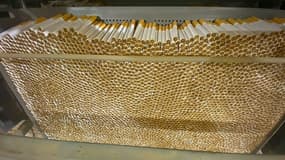 Photo diffusée par le Sirpa, le 15 janvier 2023, de cigarettes de contrefaçon dans une fabrique clandestine, à Saint-Aubin-les-Elbeuf, près de Rouen