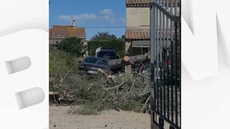 De fortes rafales de vent provoquent des chutes d'arbres et des dégâts dans le Var