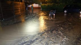 L’Alsace submergée par un torrent d’eau et de boue