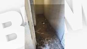 Depuis le mois de mars, des problèmes d’eaux usées affectent gravement la qualité de vie des habitants de la résidence L'Adia à Nice.