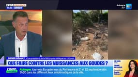 Marseille: que faire contre les nuisances aux Goudes?
