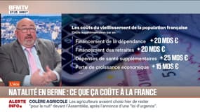 BFM éco : Natalité en berne, ce que ça coûte à la France - 14/01