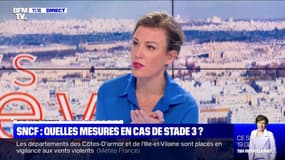 SNCF: quelles mesures en cas de stade 3 - 05/03