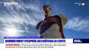 Bouches-du-Rhône: la star de l'art contemporain Damien Hirst s'expose au Château La Coste