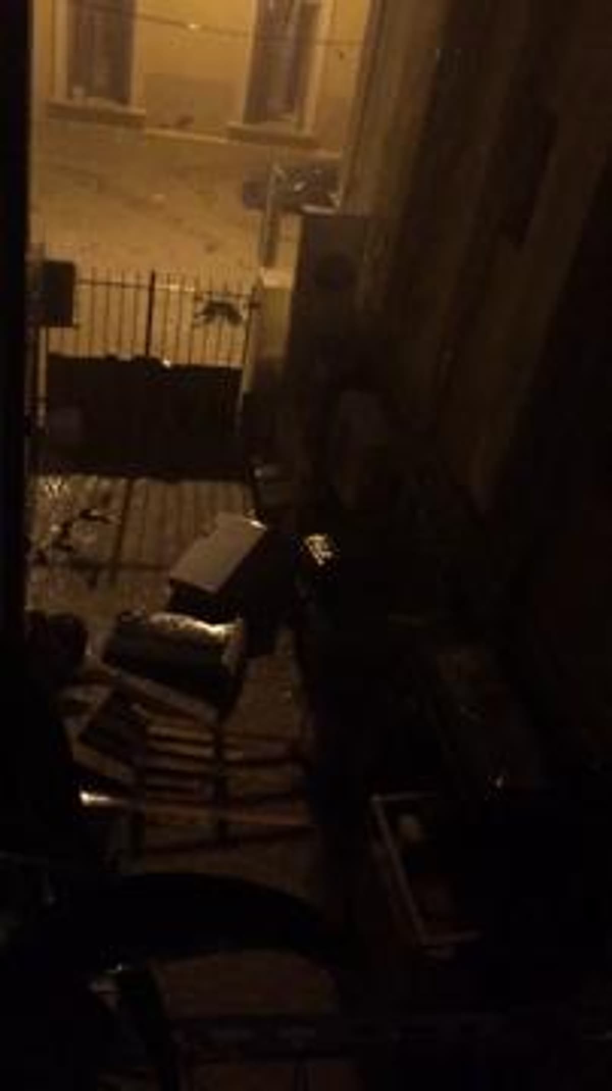 placeholder video