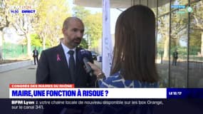 Rhône: le maire d'Écully "s'inquiète" d'une hausse des incivilités