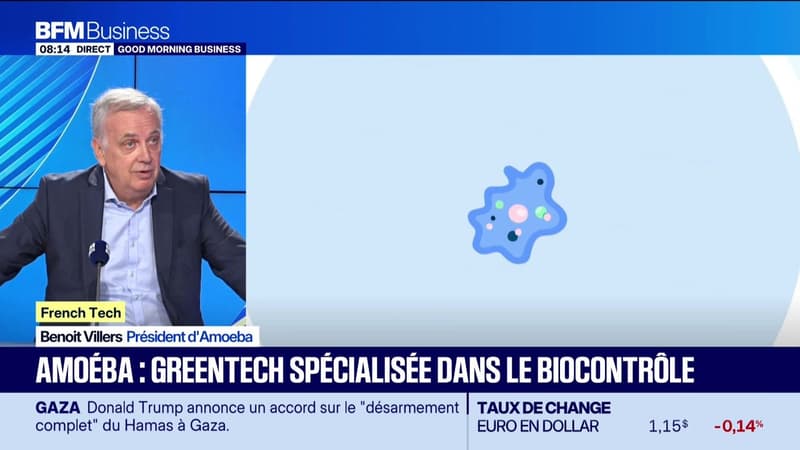 French Tech : Amoéba, greentech spécialisée dans le biontrôle - 31/07