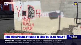 L’extradition de Félix Bingui, chef présumé du clan marseillais Yoda, pourrait prendre entre "six et huit mois"