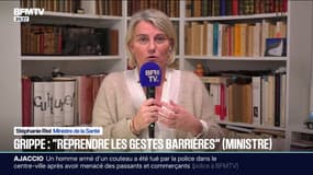 Épidémie de grippe: "Il faut reprendre les gestes barrières", déclare Stéphanie Rist, ministre de la Santé