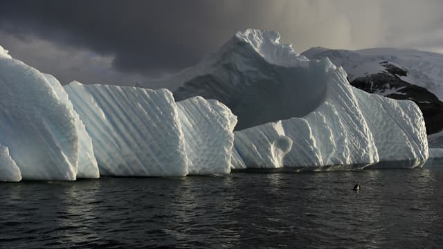 Un iceberg à l'ouest de l'Antarctique en mars 2016.