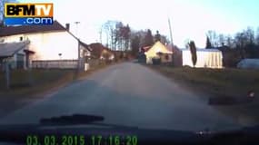 Un enfant trainé par son gros chien traverse la route devant un automobiliste !