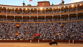 Des spectateurs assistent à une corrida le 15 mai 2019 à Madrid. (Photo d'illustration)