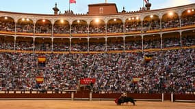 Des spectateurs assistent à une corrida le 15 mai 2019 à Madrid. (Photo d'illustration)