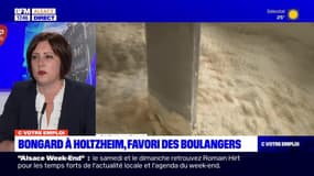 C votre emploi du mercredi 14 juin - Bongard à Holtzheim : favori des boulangers