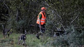 Un chasseur et ses chiens à La Bastide de Sérou, en Ariège, le 16 octobre 2022 (photo d'illustration).