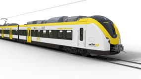 Alstom a déjà vendu 2800 trains Cordia.