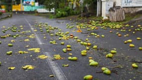 Des mangues sur la chaussée près de Saint-Gilles-les-Bains, à la Réunion. Le cyclone Dumile est passé au plus près des côtes de la Réunion jeudi après-midi, sans faire de victimes ni causer de dégâts majeurs aux infrastructures de l'île et la préfecture a