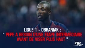 Ligue 1-Obraniak : "Pepe a besoin d'une étape avant de viser plus haut"