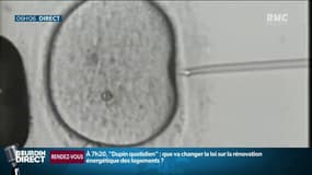 Les enfants issus d'un don de sperme ou d'ovocyte auront-ils accès à leurs origines?