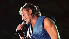 Johnny Hallyday au Parc des Princes, le 18 juin 1993.