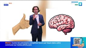 Un grand pouce synonyme d'intelligence ? - La météo de Colas du jeudi 16 octobre 2025
