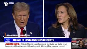 LA BANDE PREND LE POUVOIR - Donald Trump et les mangeurs de chats