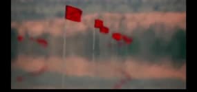 Top Gear a décidé de faire une course entre une Porsche et une…Coccinelle