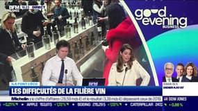 L'invité : Ouverture du salon “Wine Paris & Wine expo Paris” - 13/02