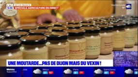 Salon de l'Agriculture: à Vexin, la ferme de la Distillerie produit sa moutarde