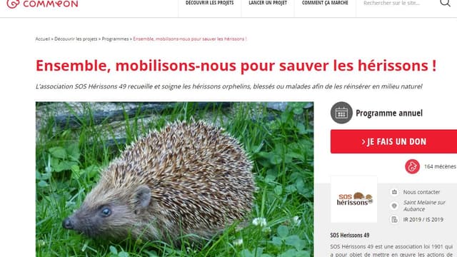 Commeon, la plateforme de mécénat participatif
