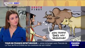 Saint-Valentin: l'Inde appelle à faire "un câlin à une vache" avant de faire volte-face
