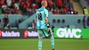 Borjan lors de Croatie-Canada