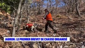 Alpes-de-Haute-Provence : le premier brevet de chasse organisé dans la vallée du Jabron