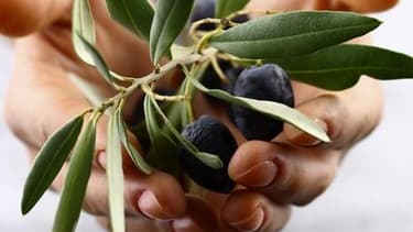 Alter Equity3P est le seul fonds d'investissement français conditionnant son investissement à un impact positif de l'entreprise sur l'environnement et la société. Il a investé dans Bo.ho green qui propse des produits de maquillage naturel