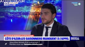 Côté d'Azur: les saisonniers manquent à l'appel, l'UMIH tente de trouver des solutions