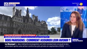 Quelle forme prendra la mission d'information sur les bois parisiens?