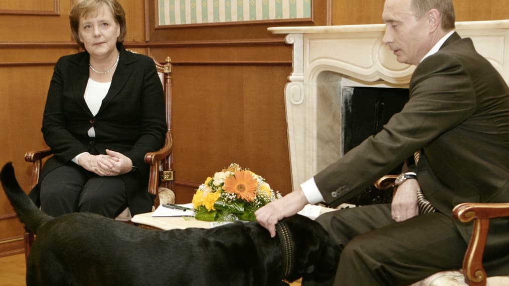 Angela Merkel, Vladimir Poutine et Koni, le labrador Angela Merkel, Vladimir Poutine et Koni, le labrador