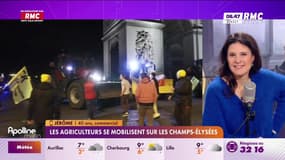 A vous de nous dire : Les agriculteurs se mobilisent sur les Champs-Élysées - 01/03