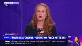 Opération "place nette XXL" à Marseille: "Des opérations comme celle-là, j'en rêve dans la métropole lilloise", affirme Violette Spillebout (députée Renaissance du Nord)