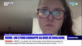 Paris: un cygne kidnappé au Bois de Boulogne