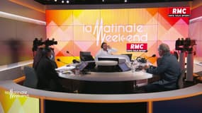 Alors que les infestations aux punaises de lit augmentent, Stéphane Bras, porte-parole de la Chambre syndicale des industries de la désinsectisation, analyse la problématique 