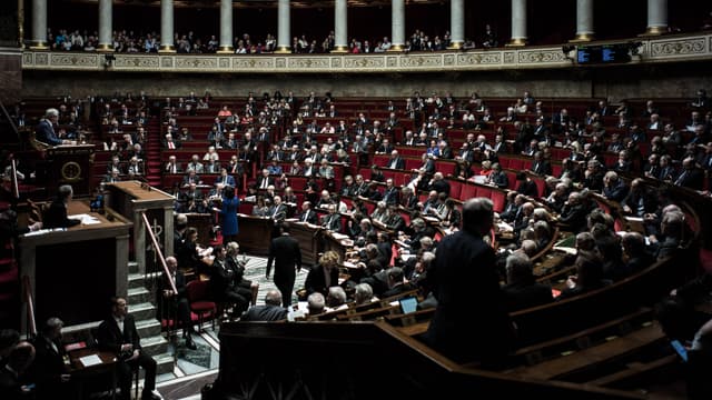 Les députés LREM ont donné leur feu vert pour les propositions de loi contre les "fake news"
